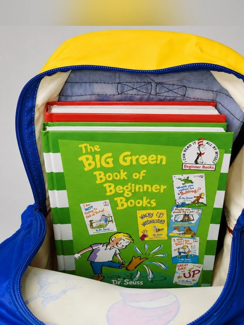 Dr. Seuss & His Friends Vintage Backpack – 1997 EUC